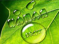 Капля воды в Photoshope